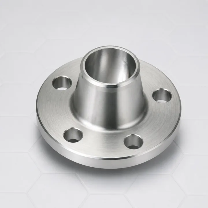 Brida industrial de acero inoxidable